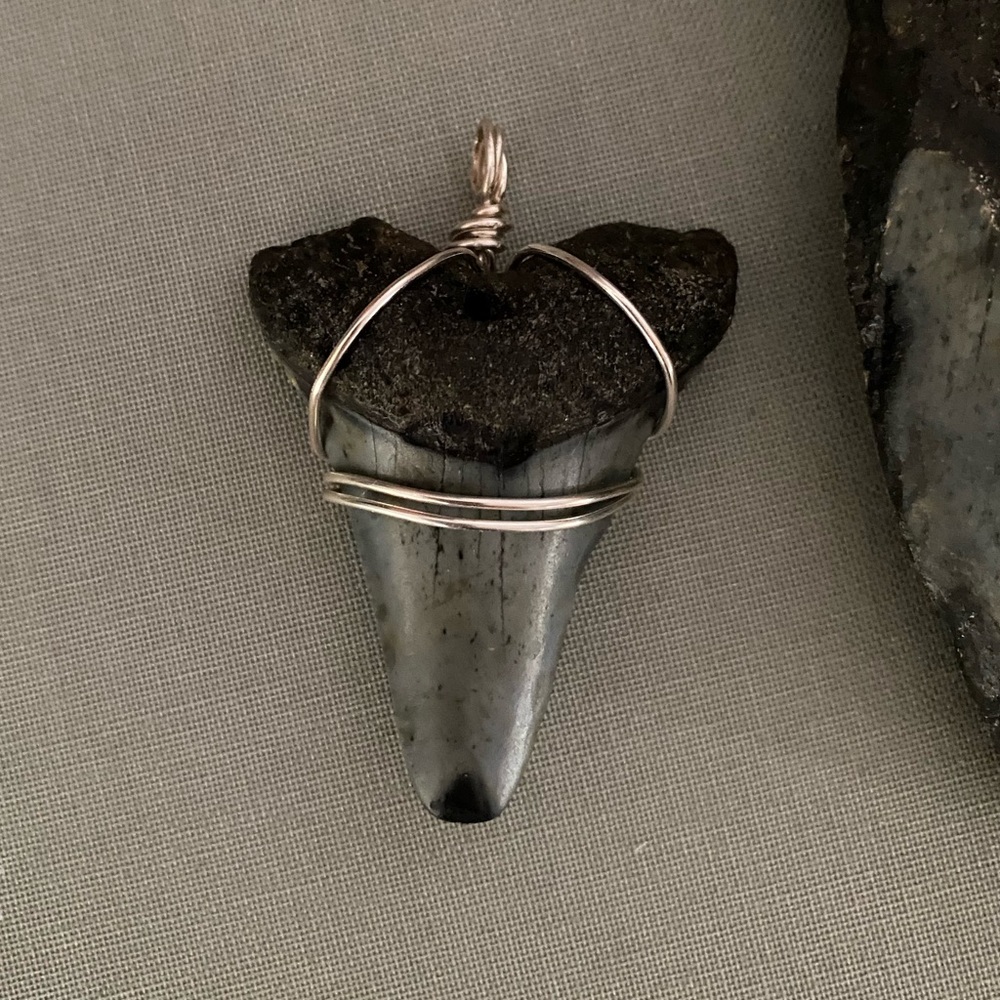 Large shark tooth pendant